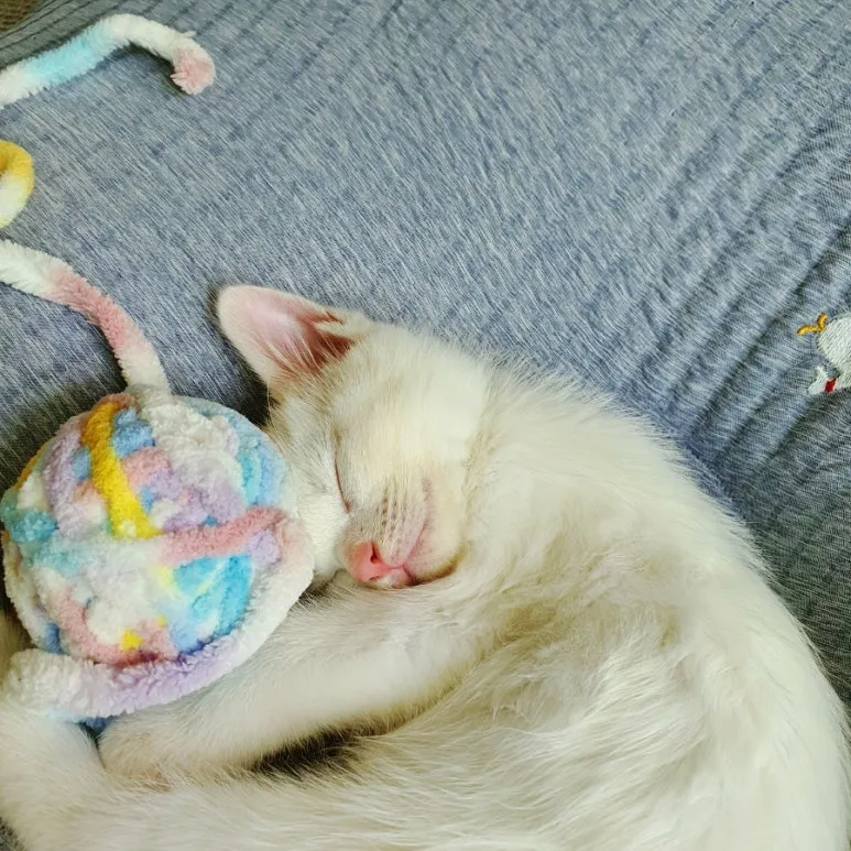 SE-6d217ec1-9cc7-11ed-8296-f343737c7d4f.jpg?type=w773