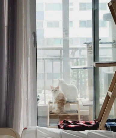 SE-a5569d8f-b558-42ea-bd52-df95f99c09c3.jpg?type=w386