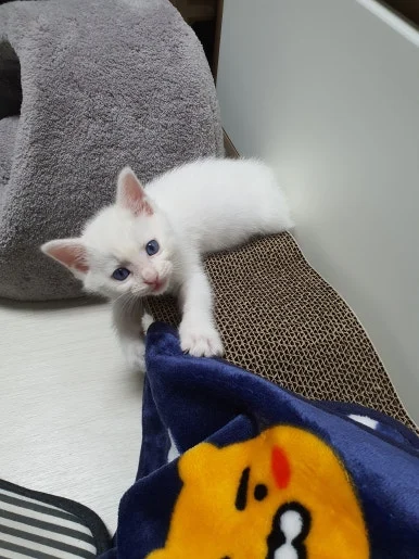 KakaoTalk_20220804_164503342_03.jpg?type=w386