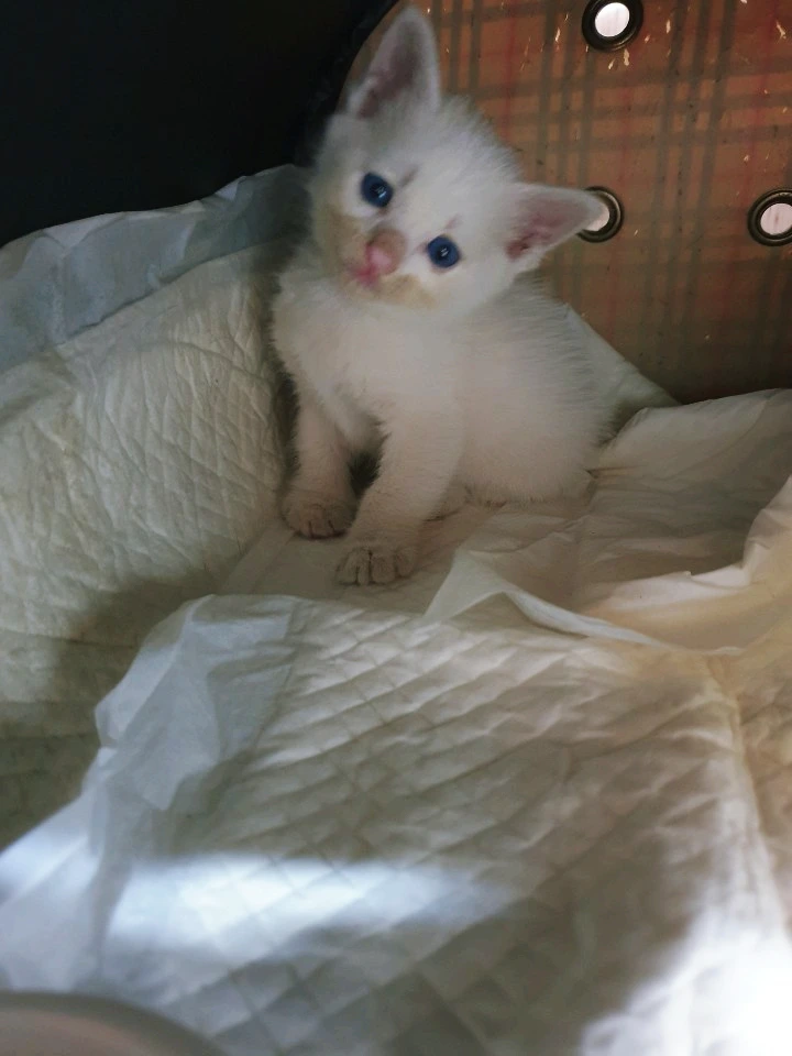 SE-061fbbf5-0efa-492d-83ba-acc7c3a4a49c.jpg?type=w773