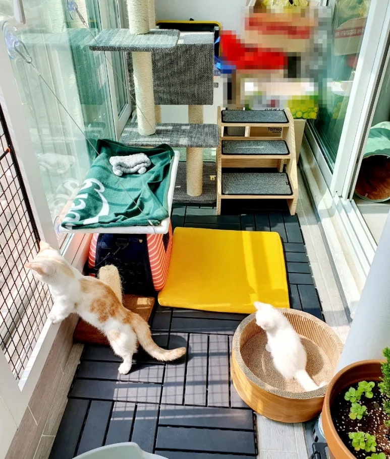 SE-0b04f796-8c14-40be-8999-faf0bbde74be.jpg?type=w773