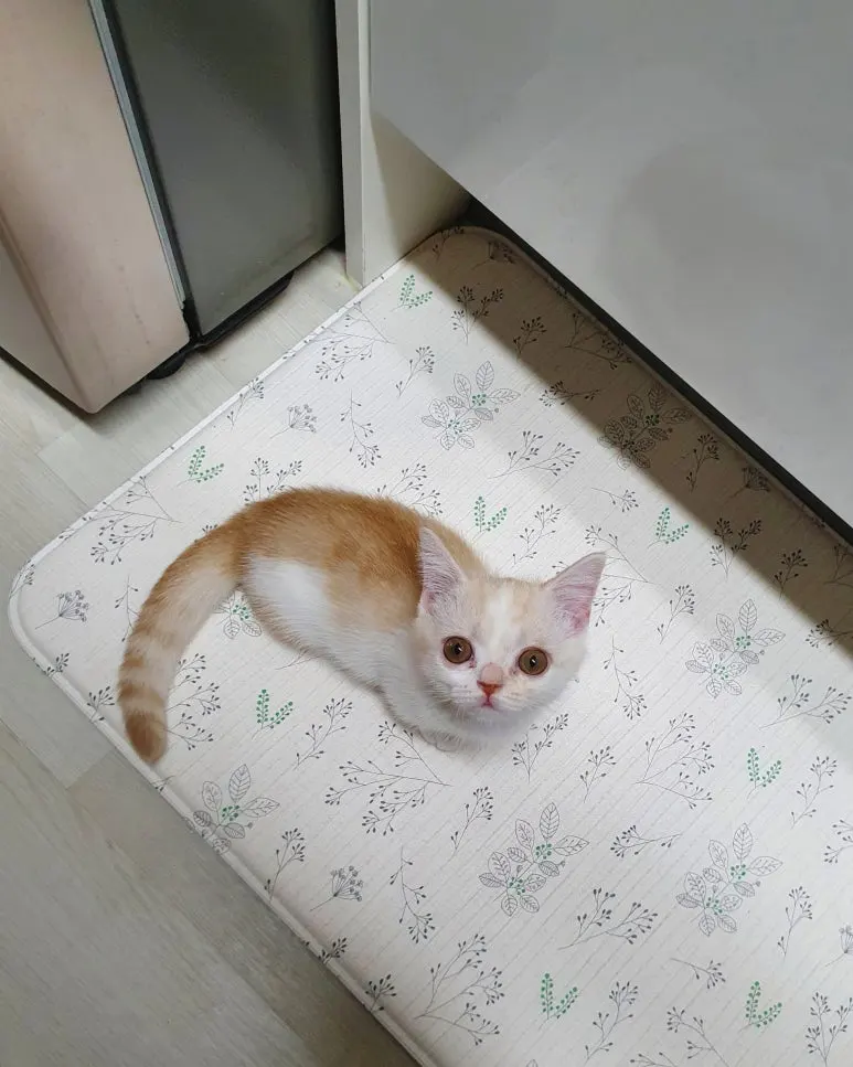 SE-95466d1b-4d71-49e6-8c57-6a5a7866ae7a.jpg?type=w773