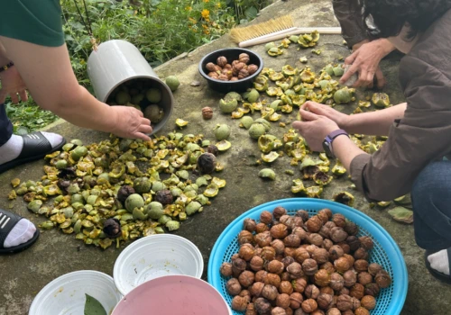 SE-93689062-101e-47aa-bef4-2d580ff43ede.png?type=w1