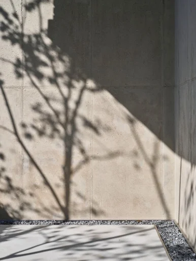 web_DSF7532.jpg?type=w386