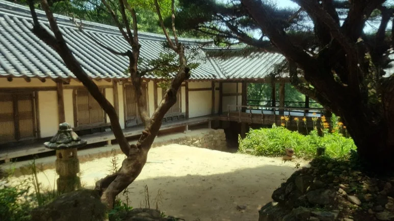 SE-7ae0c717-bc73-420c-a5cf-f98defd484bc.jpg?type=w773