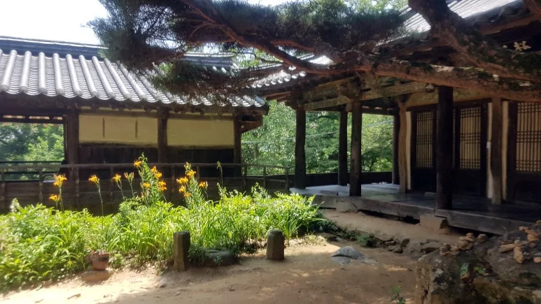 SE-2199471f-9111-42a3-b540-d33a169a6d4b.jpg?type=w773