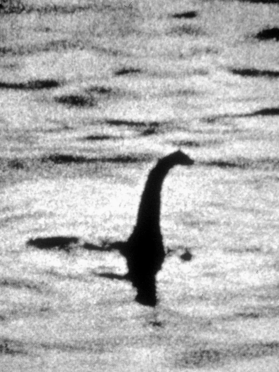 SE-cd1ad1af-87d5-4dd3-8681-a560209851bd.jpg?type=w966