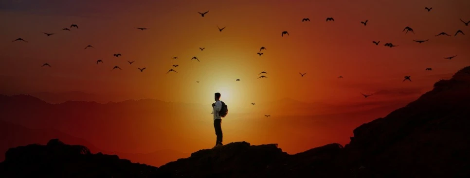 sonenuntergang-4002020_1920.jpg?type=w966