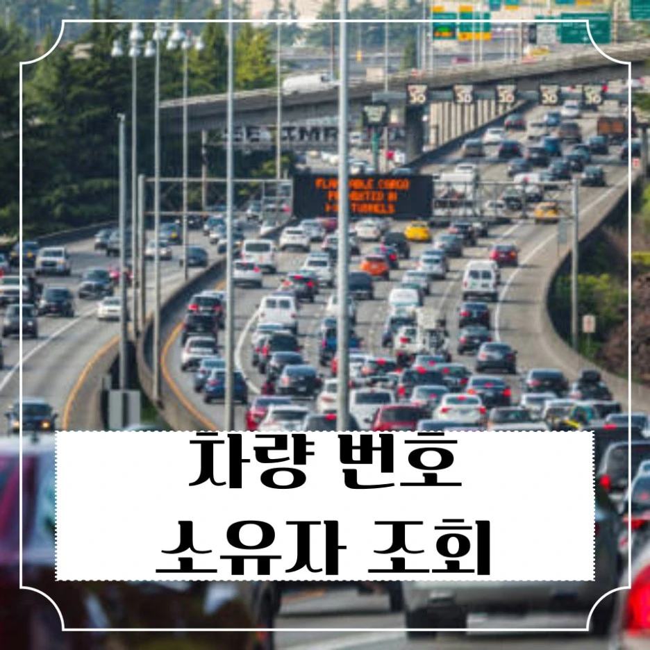 %EC%B0%A8%EB%9F%89%EB%B2%88%ED%98%B8_%EC%86%8C%EC%9C%A0%EC%9E%90_%EC%A1%B0%ED%9A%8C_%EC%82%AC%EC%9D%B4%ED%8A%B8_(3).jpg?type=w1