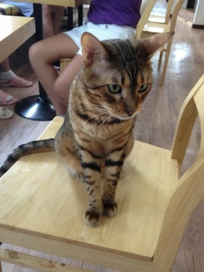 IMG_0728.jpg?type=w2