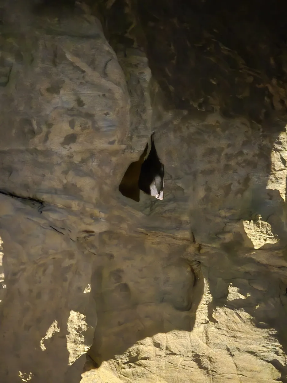 20250118_102954.jpg?type=w1