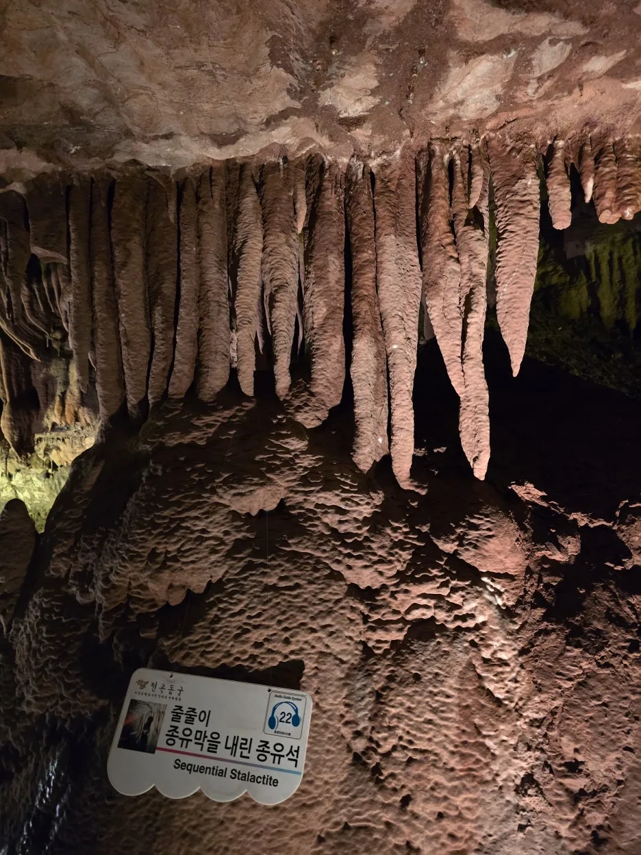 20250118_103353.jpg?type=w1