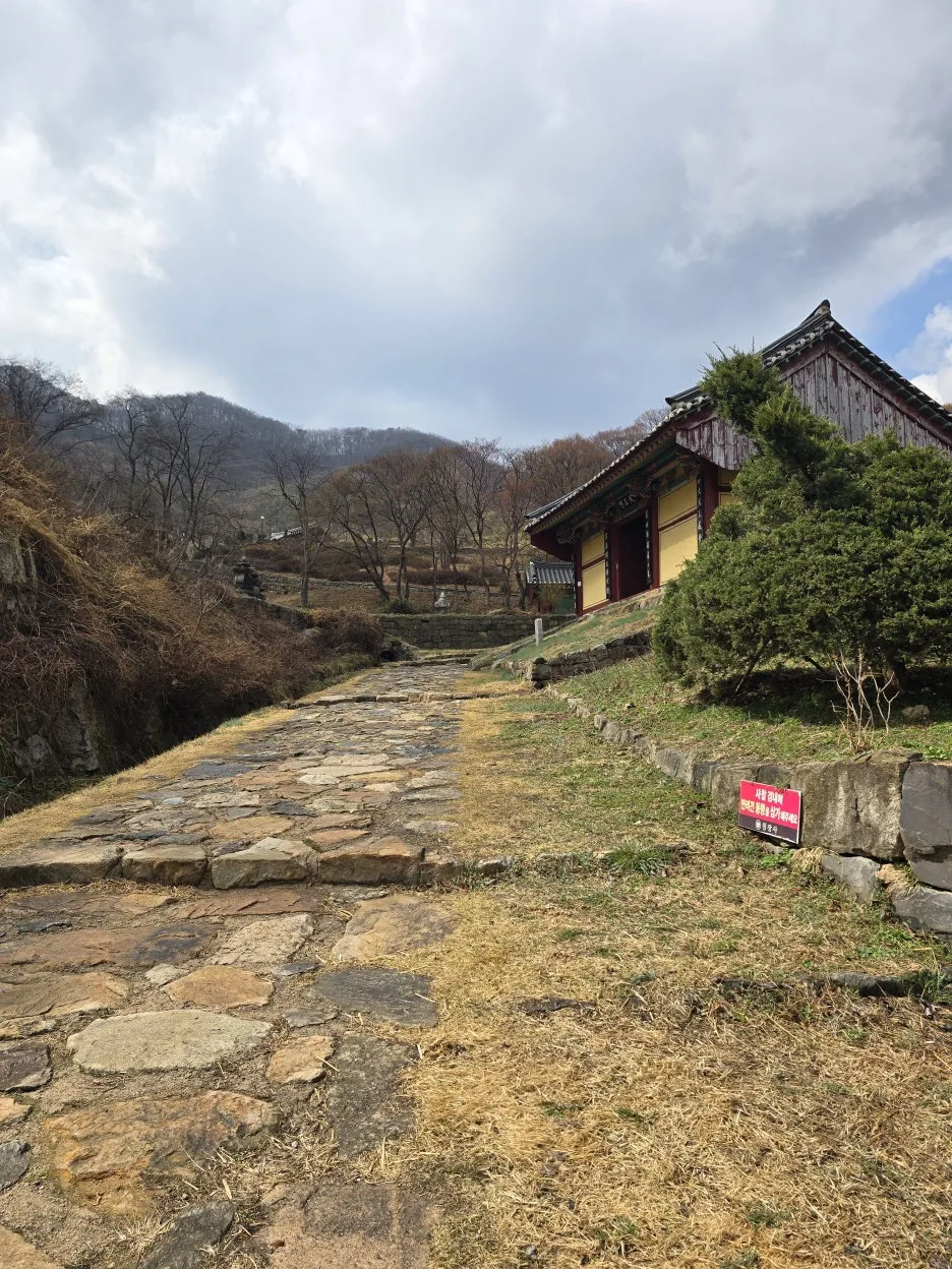 20250329_135125.jpg?type=w1