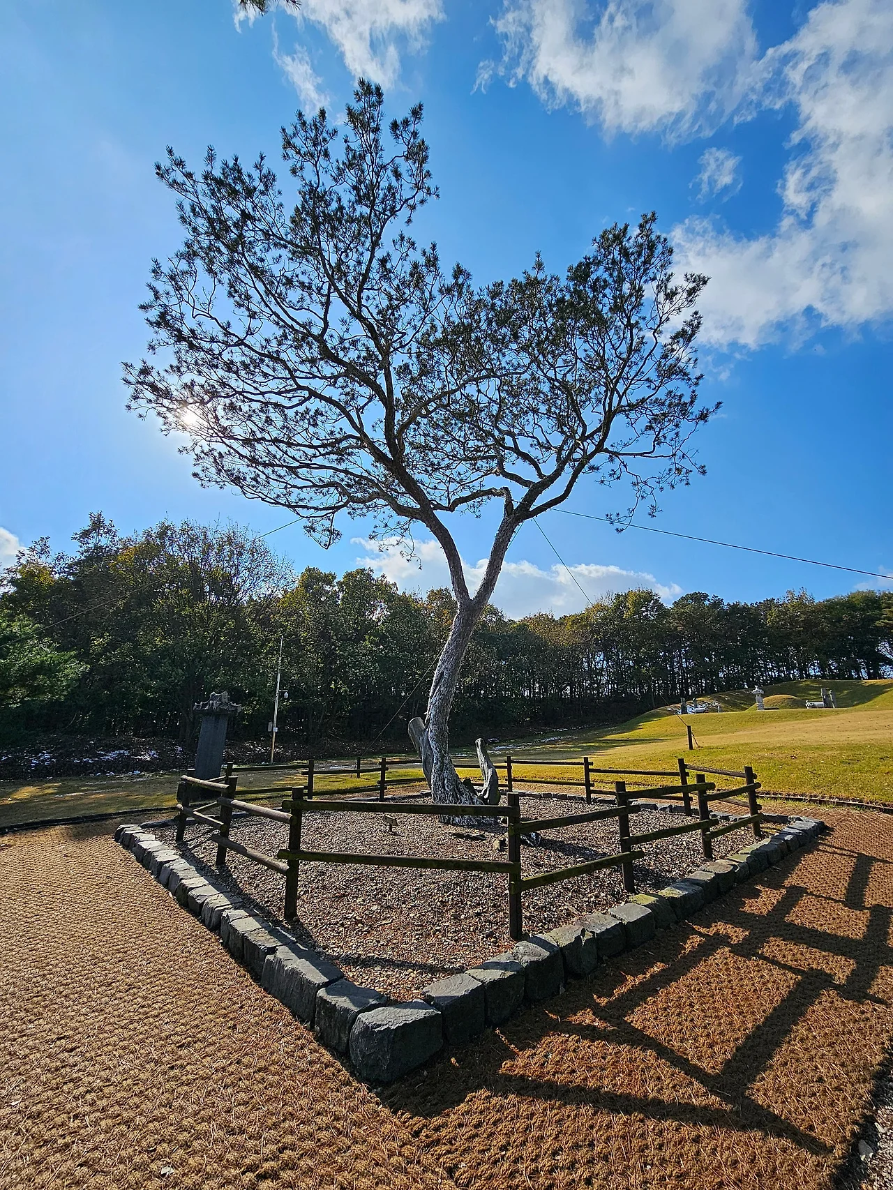 20231118_131534.jpg?type=w1600