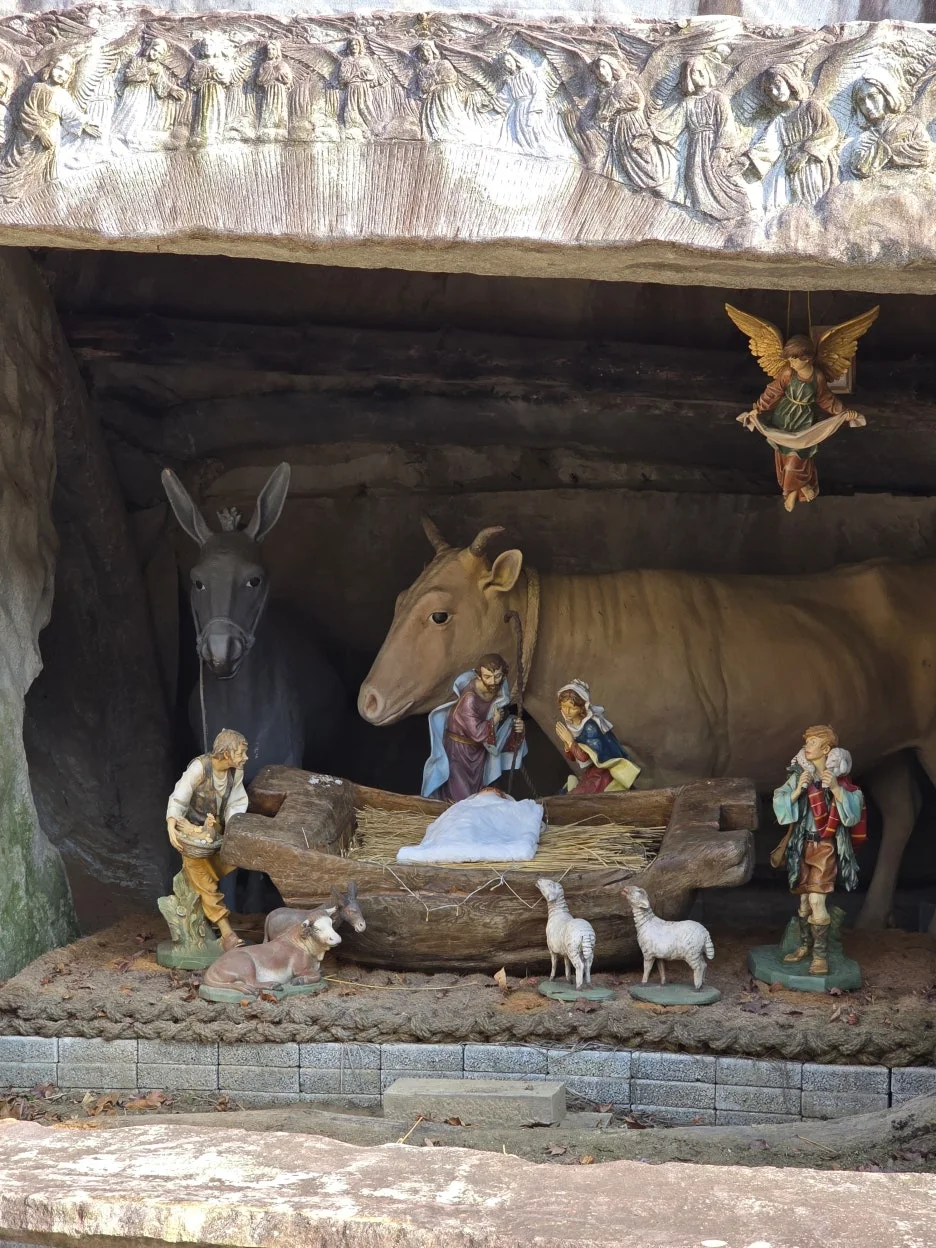 20250112_132845.jpg?type=w1