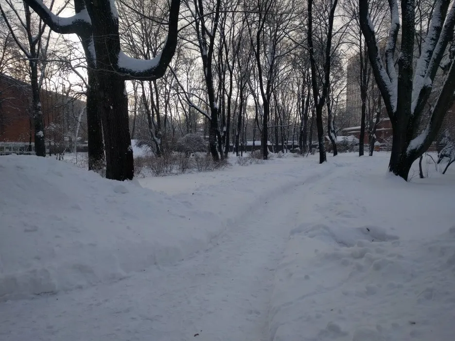 IMG_20180206_151557.jpg?type=w1