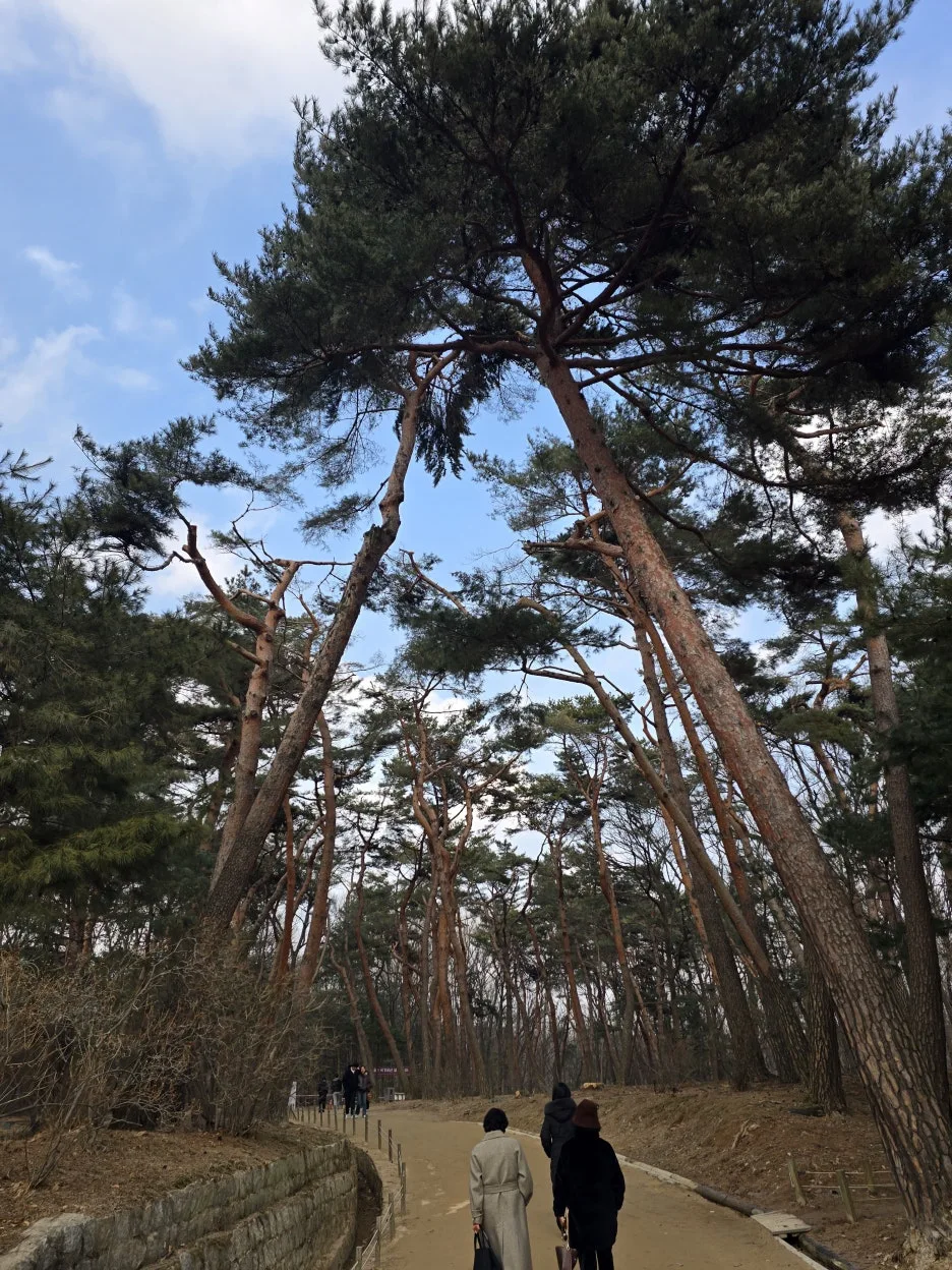 20250215_155316.jpg?type=w1