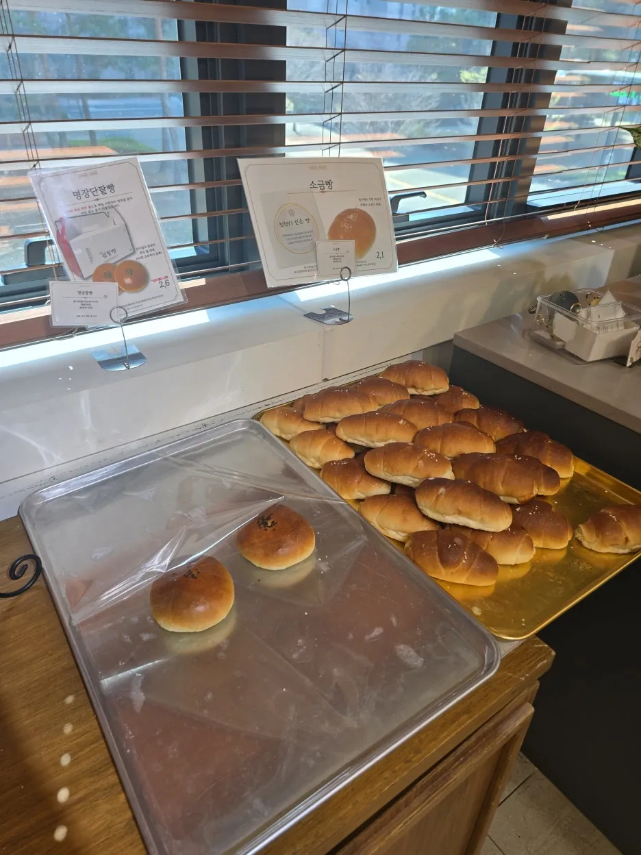 20250406_140050.jpg?type=w1