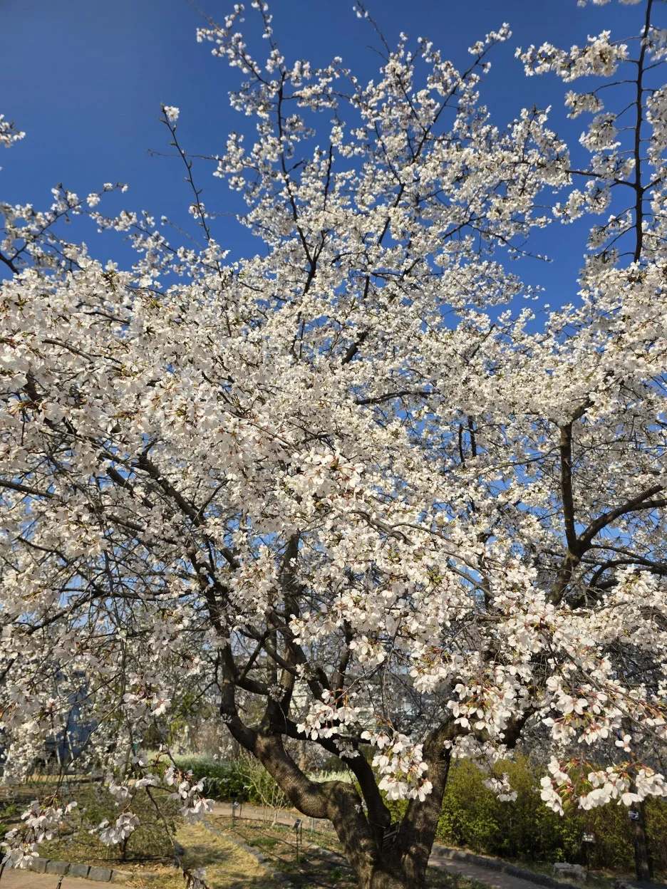 20250406_163102.jpg?type=w1