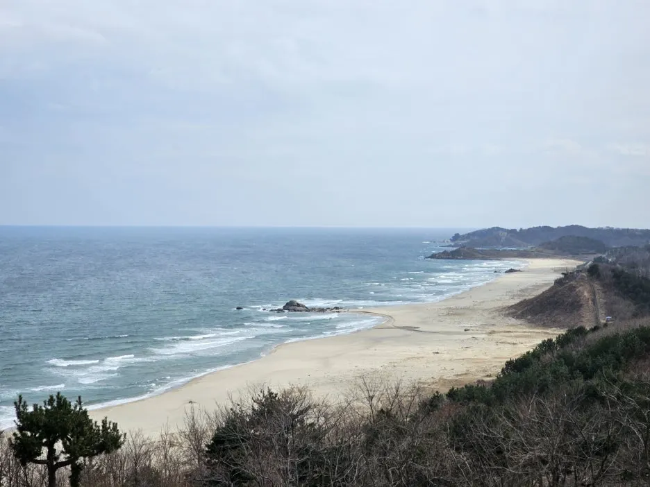 20250315_132141.jpg?type=w1