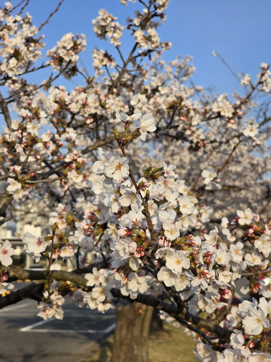 20250406_174649.jpg?type=w1