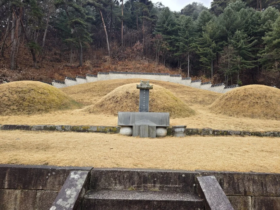 20250316_104629.jpg?type=w1