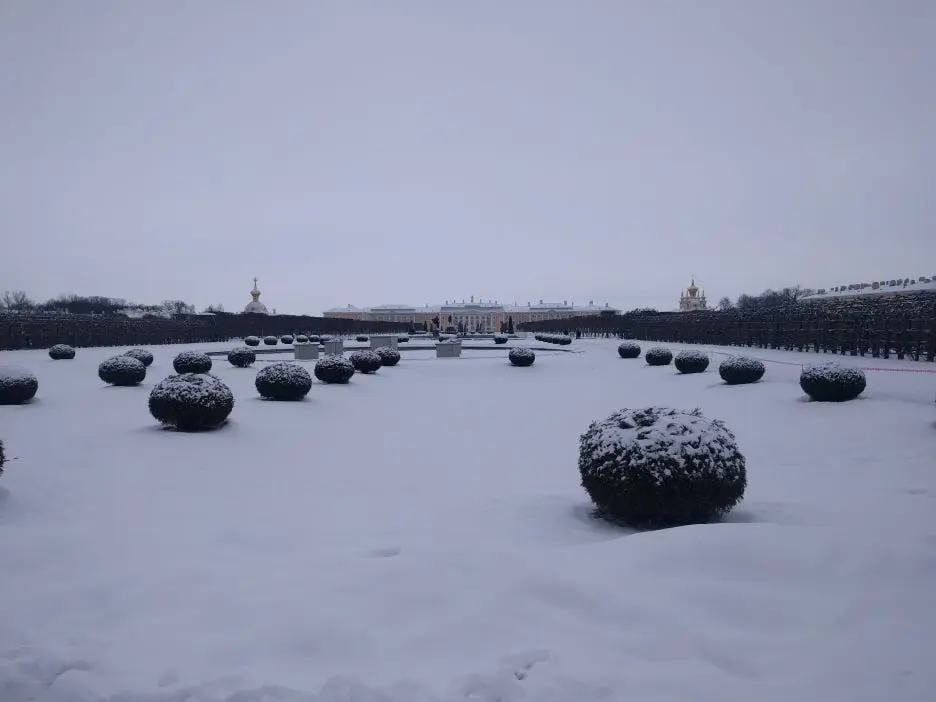 IMG_20180203_135455.jpg?type=w1