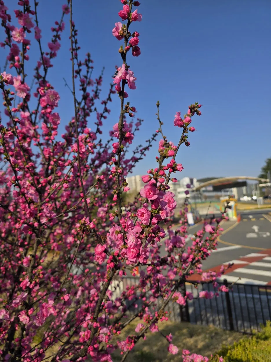 20250406_162859.jpg?type=w1