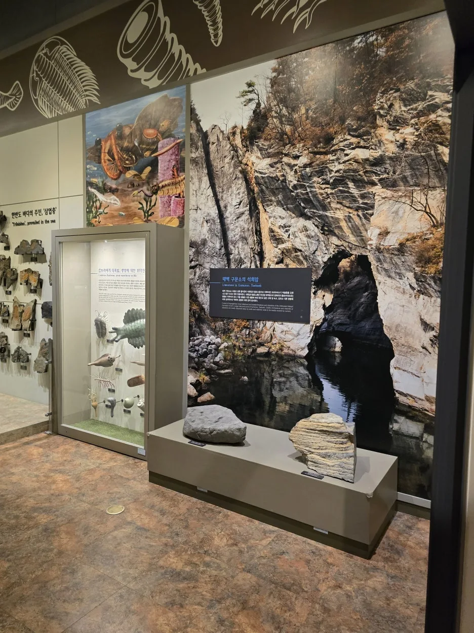 20250406_170818.jpg?type=w1