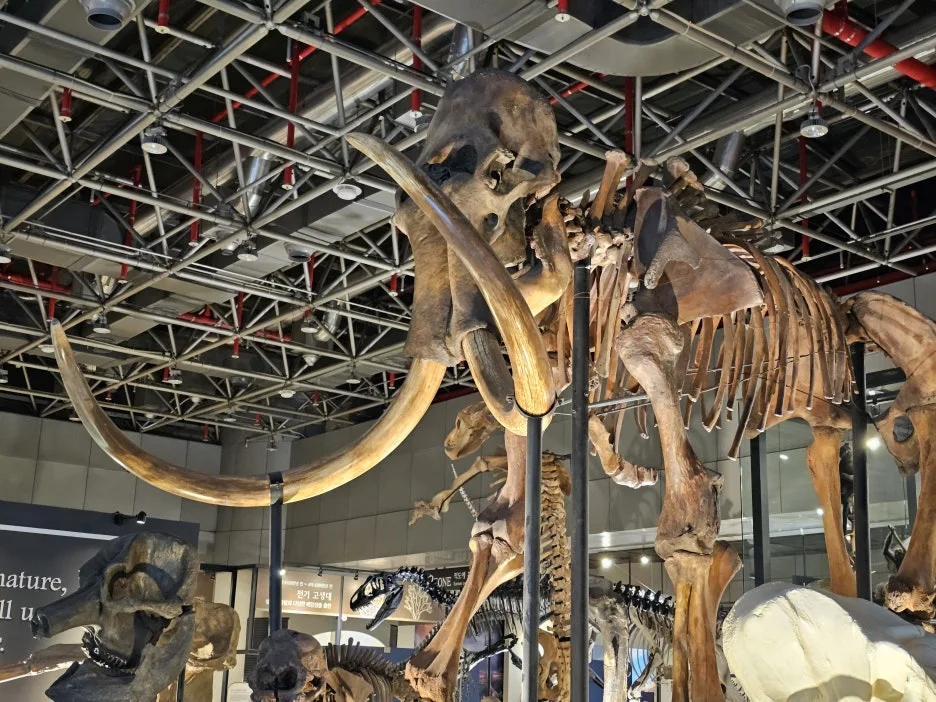 20250406_171102.jpg?type=w1