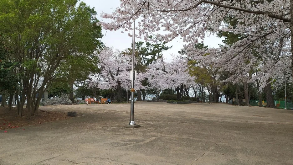 IMG_20210327_112654.jpg?type=w1