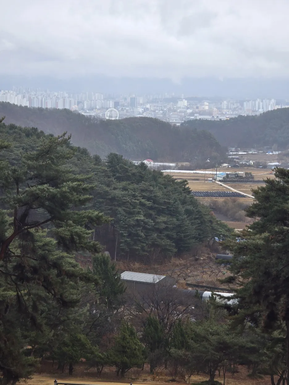 20250316_104621.jpg?type=w1