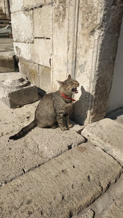 AP1GczOKcja-Wmce8UCVmMnMfWrDT5iqxAwt5yMTuNRR2iZpMivI0Rss5nJF08-5qUD1y1wGOYOfAaCTdHx1DP12ysMwo0PXhknBKxuQ4fm4nj9_LVUXESpSls9uAqTHDTcxTLQgyyUnAXgwJ8LeB1ysD-VigH-C1E_lbO8G67PZO7RSfv_UHFBsarWhhLfBUrJnit12AVcm0hrImJwp13h99TALluTk1qsgHVNKE3BNGr1ydIcyzxPiP3rVWNRW3tTubX0d-EmEqhkvTGhBaORLSq1qEjsGjkhZf-vKEb5TGxDY_hzYqjNEo1ZBqcRQVbawryH_QVnkD6FKtnqj7hEQMpGhQly8NAsKOhqkSLIoTp8wvYj6ptYduoSerZ9tyoCnyN4C1BUhQk5gh54i7yUoprDtgmJCDG68DZ5gM5e5CnEWrRIRTM373ea9Mt3vw5-lj2uVwI2vWA9-8y7DgxjF7q0K2uxvDsw-DX9RaN-W__PF2aPujPuOrIxPPETjufE60v9hvwfJ7r7XLqkOw_AobcnyW7k_fDOPiSZSH4eAK1cCT0ZWWOl6I_MnlXBdNbKePMFNjpSssRSvJgd1WXfgTDGa7nAhSdWhDxUOMMsHfaPCcH2PuuyYDMXk1aEti_GTg69qoy6-WVaG9VyQS8IMjhTv0pI73Tbyoixs4nSPu97bcPQp0jhipEsw7dUqILO-LN1c1at5UsY0Hqr1-cI8cu1oiBb4lA55wl4UxZ0mk_6FoTRWG5guR1v-UW6EfwNA4m25iR3xEq95ITEa4aI9JDNXtySUwCO8pnJlYktBNG-ypXd1tcfQikBoUG2siTj6OVt_qoq49bL4ddAkbpofSaeafuP4s8kqZH3Hqb-oe4RHXkztu8SwHAaEK9eru3zAQqQ93APIRV_LPSYbToaUlrct9eBs=w393-h698-s-no-gm?authuser=0