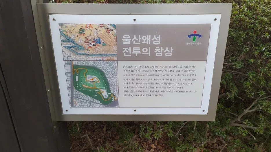 IMG_20210327_113338.jpg?type=w1