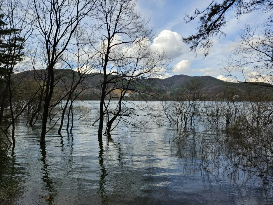 1743239902840-16.jpg?type=w1