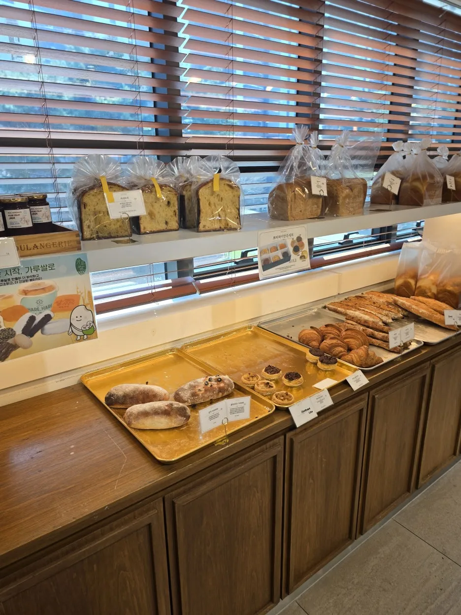 20250406_140034.jpg?type=w1