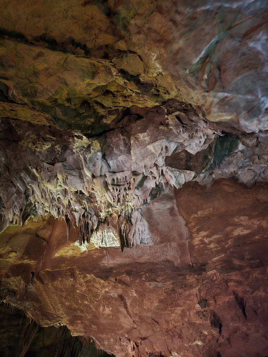 20250118_104928.jpg?type=w1