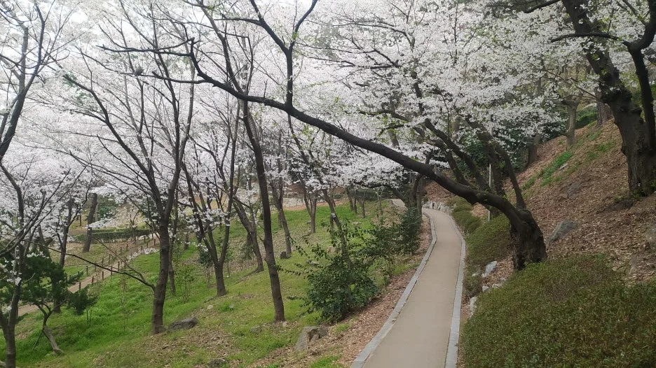 IMG_20210327_111739.jpg?type=w1