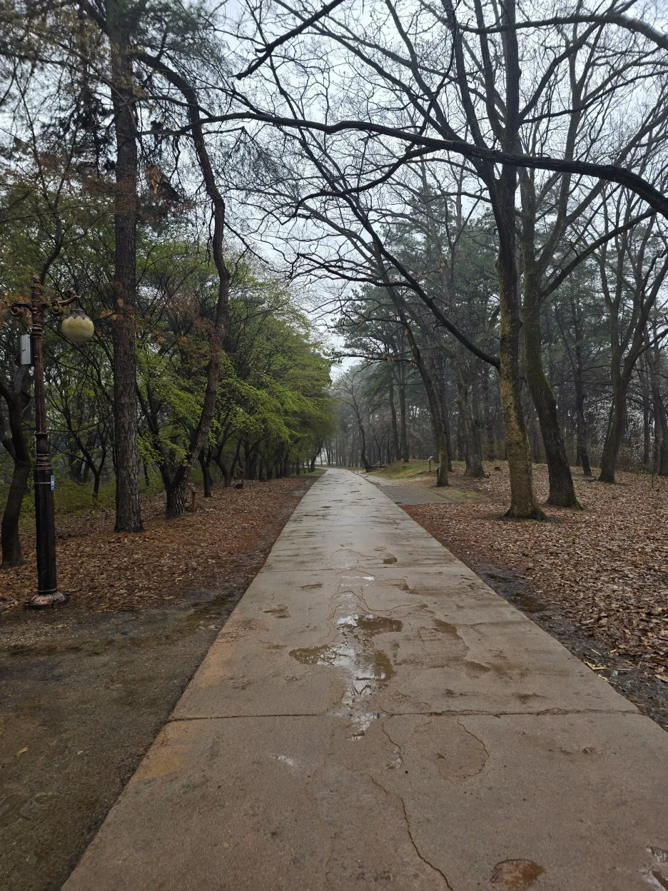 20250405_155800.jpg?type=w1