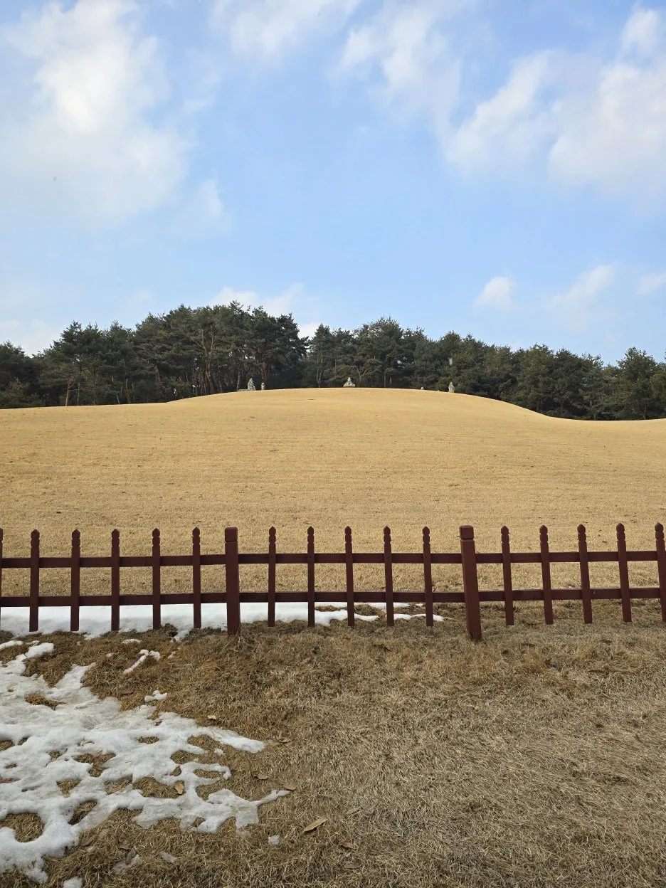 20250215_162318.jpg?type=w1