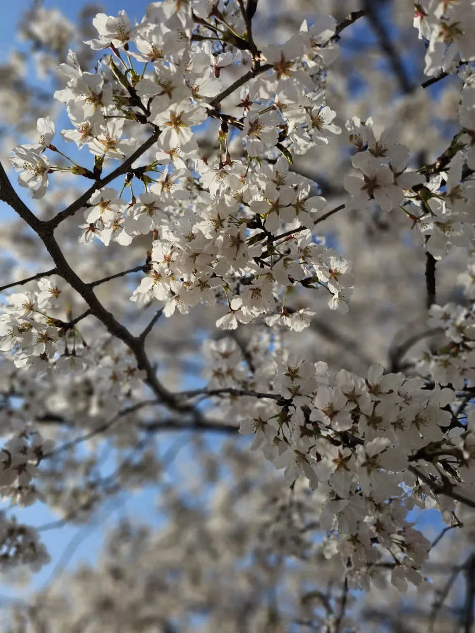 20250406_163040.jpg?type=w1