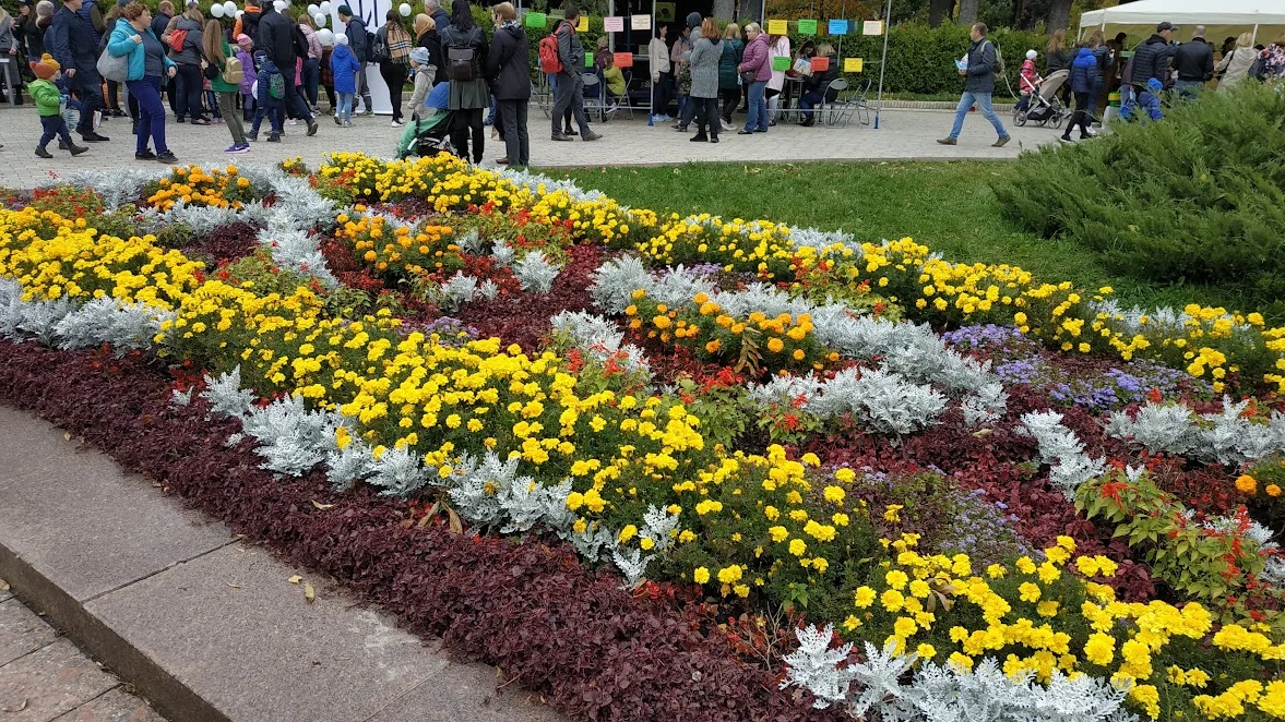 Ta4IvgO-W8611udjgHcRvt6qGqa8GcoAw3OwEbIFe_PIwj01Fl6o3BDvbjX_GRd7gpqsHNiwOZK03bj0m6I5OcrLxMeFx----f--auNCNT8PlL87EDCQ58pD2SMURLQSYIU-rt_BXAUshKoDneDTBfS02xObpNNbKGheltP0cV5TNUKrRxbAem7ypIB0ph3nRY2YV__6WrMe2htt07_wy1HjBrmaQY7MkDrEyXzJf6_ky2gdfhBNWwcHMUNLOurdf2Fd9D461yrqgzSF20Bd2hztxPWz4ersyHaPwFZZDlFt9gvFNBcd0nES0EBZlvyV3mzTnRiYRrHvzd1J2abhbVdYB0z4Xp6qcczUEj5Xbz7FTRkC2cnKoJ7RlXoy-jTpv40ib0TgHGTzLuWgI1h4SixAbNAzczFZry0z82RP8YemsMi0qiMp_tygTTs1NkEmv3oNZOqUlYBTyGR2jRG1wEm3IsFFgkqMCDZHGbRsk4KpH6Y1WeBGcqtJOwnaoWIHyjOWDOqi42DDVupWf1MqSqKFkqltP-bBDSQRuUWg2ljSWY5qvOO45Cp3_cjWzpZsx3GotnRR5JCi5vlvgNJCnRPabOQMvWuOQWpkgxkKsNgpGMGj1lfK3Ag_tU5uI-Nb6iNLtBGY02glXxLwckrOiy7vjVWr92RatSJOB2kDW1-pdBBoFRHq0Ef72yGCC9DKO4yffFdkR8FZimtQbqSH5o9ijGXdW1FY9RHpFrT4HHPqVHNCiBUGB3P8UYdtxmGiTKYz762x2nVsH7lQdHs48EjtCAbOO9bVByDLgjDXt5LgtirEsqzrMm6WWuAxNEPyh8NA4mPPjGk3GETbLAcMqSSc96KpPQHsogdEEfCrLrhVUAihdk2YYaKhA1Ragshqvv4pUzmtCR4hrDyKGKUK0Wn7YnaPgvWhL1mTSFj-AA=w1177-h662-no?authuser=0