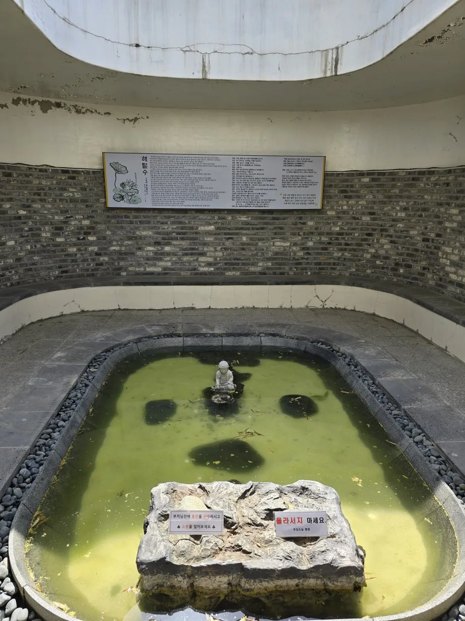 20240518_145238.jpg?type=w1