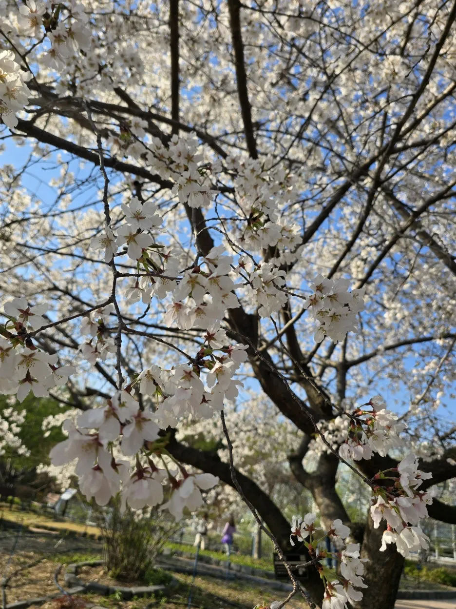 20250406_163034.jpg?type=w1