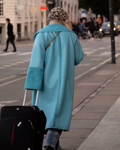 image_(18).png?type=w386