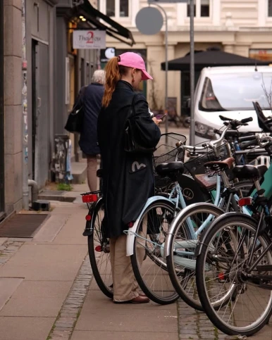 image_(16).png?type=w386