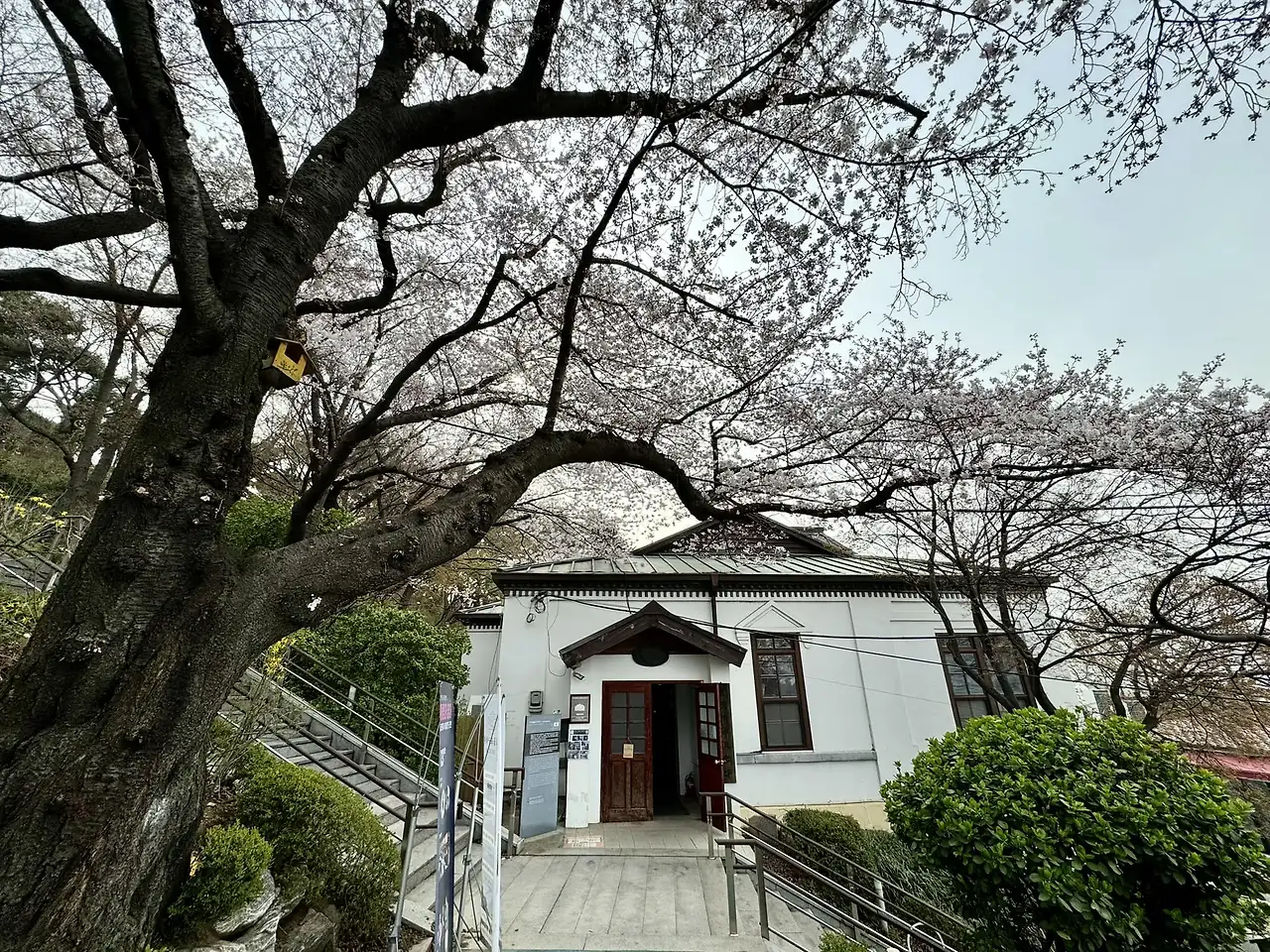 489310512_1256975366051740_3175852580046817256_n.jpg?stp=cp6_dst-jpg_tt6&_nc_cat=109&ccb=1-7&_nc_sid=833d8c&_nc_ohc=BX8oYAYm4zUQ7kNvwHkBny-&_nc_oc=AdkJyeUBSaf7G6knreagQn5CqfT-9JV3xU1aUT0nvD3ohNeZogT0e255RuhnqBhJwpI&_nc_zt=23&_nc_ht=scontent-icn2-1.xx&_nc_gid=uH9BsAcpEQCEYQCbmNd2GQ&oh=00_AfdTrnucEMnn6ODkt-710qFdRV7OXL_-_Y4MzZSb8A10GA&oe=68FB8C92