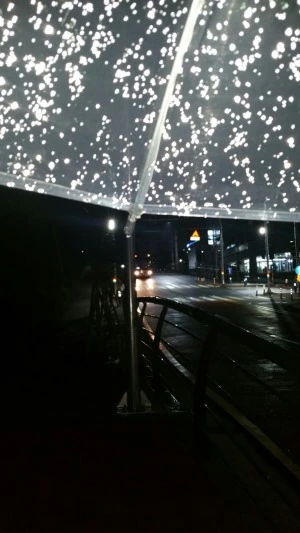 image_9754715391472773419268.jpg?type=w1