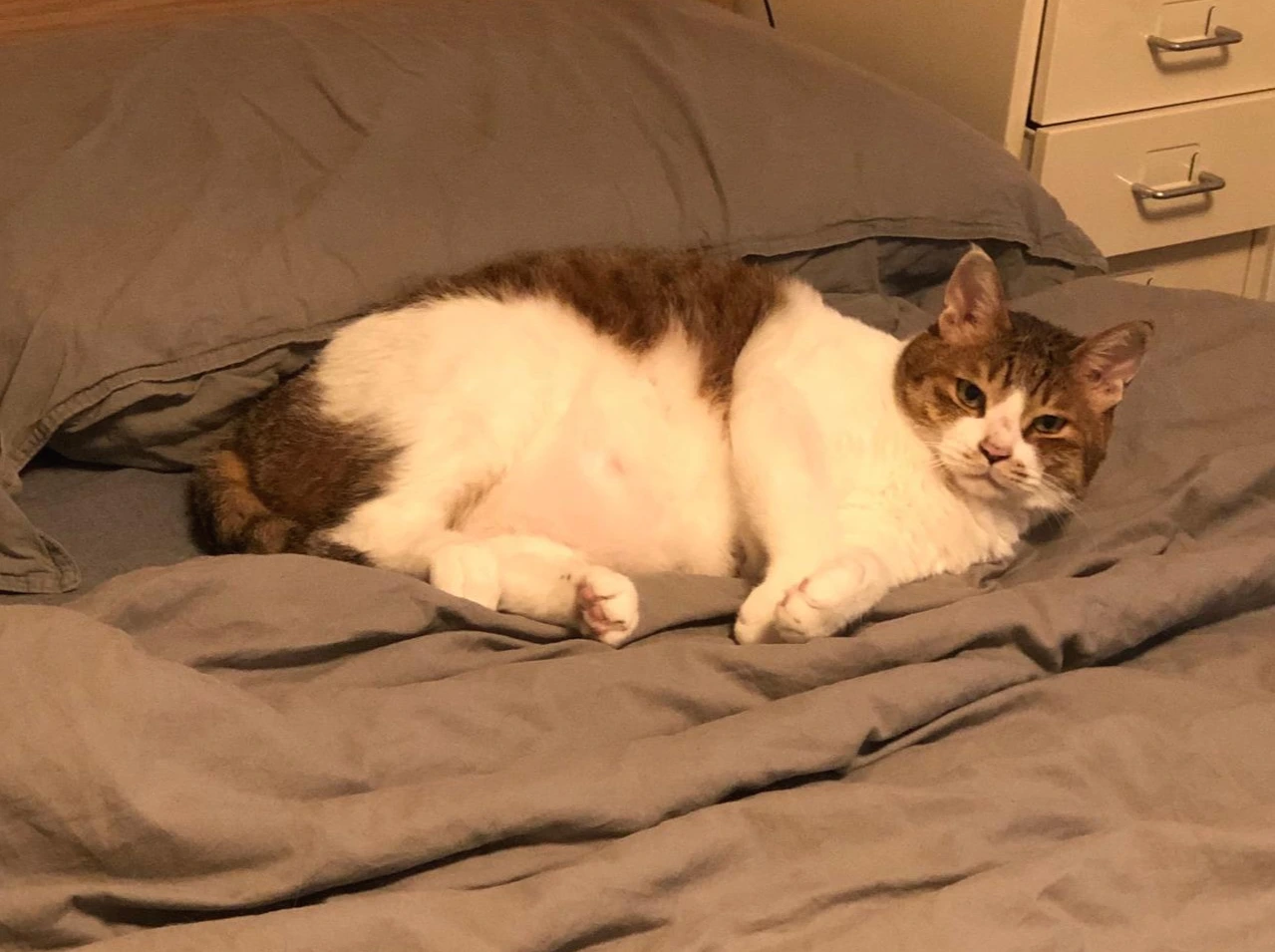 1_요미 십년후.jpeg