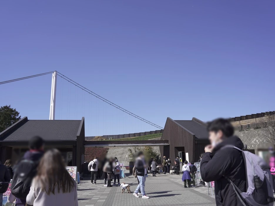 SE-d4c13525-b8a3-401e-8c78-6e6d07998a3d.jpg?type=w1